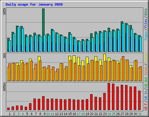 Daily usage for January 2026