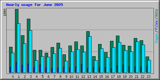Hourly usage for June 2025