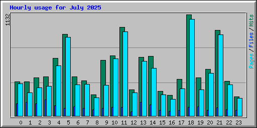 Hourly usage for July 2025