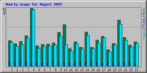 Hourly usage for August 2025