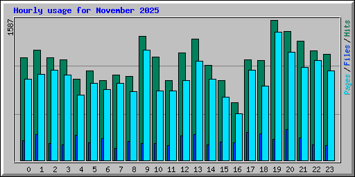 Hourly usage for November 2025